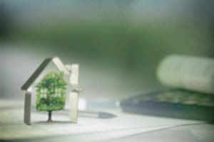 Kleiner Baum in Haus